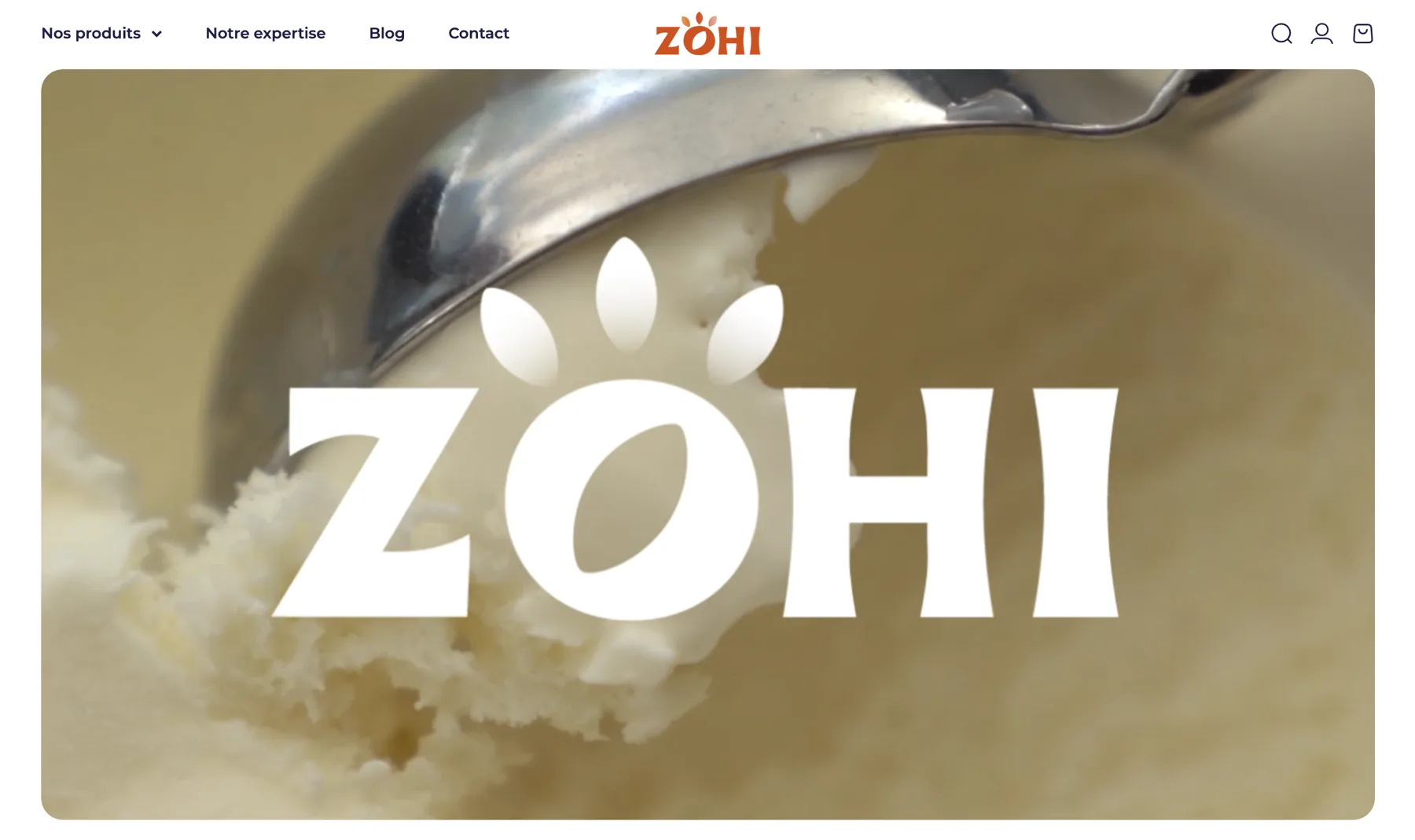 Homepage officielle Zohi